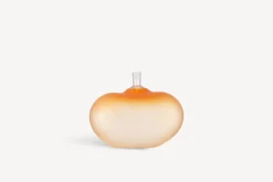 Discount Beans orange BV AC-20 Artist Collection
