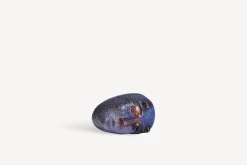 New Brains Go for it BV AC-21 Artist Collection
