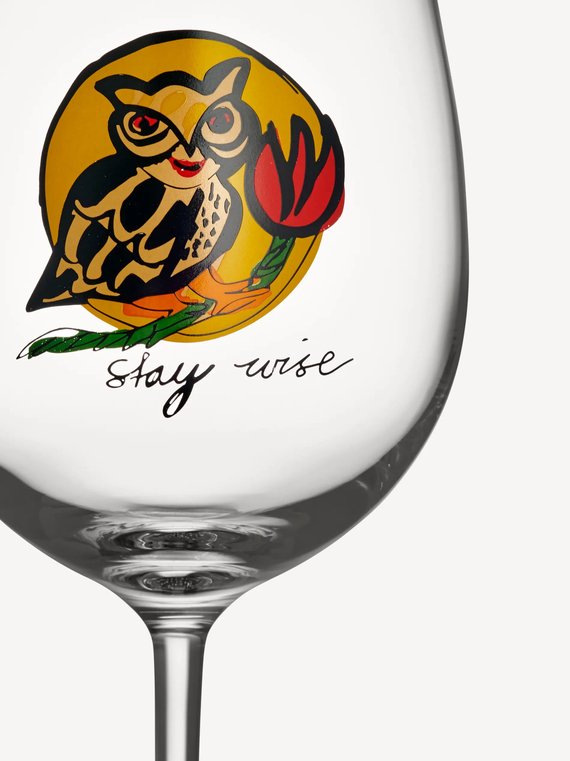 Fashion Friendship Stay wise vinglas 50 cl Friendship|Glas